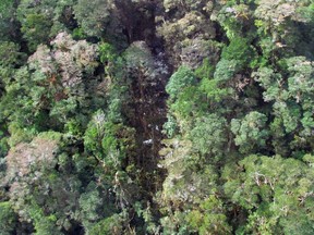 This handout aerial photo released by the National Search and Rescue Agency (Basarnas) on Aug. 17, 2015, shows the wreckage from a Trigana Air ATR 42-300 twin-turboprop scattered amongst trees in the mountainous area of Oksibil district, in Papua province, a day after it went missing after take-off from Jayapura, the capital of Papua province. (AFP PHOTO/BASARNAS)