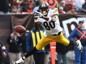 Former Steelers wide receiver Plaxico Burress has pleaded not guilty to wilful failure to pay state tax and issuing a bad check or electric funds transfer in New Jersey. (Aaron Josefczyk/Reuters/Files)