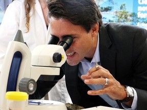 Liberal Leader Justin Trudeau looks through a microscope at the Vale Living with Lakes Centre during a campaign stop in Sudbury on Tuesday, August 18, 2015. (THE CANADIAN PRESS/Gino Donato)