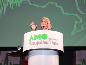 Ontario Premier Kathleen Wynne speaks during the third day of the Association of Municipalities of Ontario conference in Niagara Falls, Ont., on Tuesday, Aug. 18, 2015. (Ray Spiteri/Niagara Falls Review)