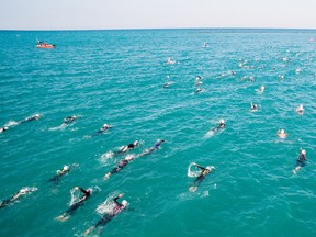 An overhead shot of swimmers. (Photo courtesy of Rob Boyce/Your Life in Stills Photography)