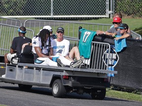Carolina Panthers’ Kelvin Benjamin (13) holds his left knee as he is carted off the field after being injured during a joint practice with the Miami Dolphins in Spartanburg, S.C., Wednesday, Aug. 19, 2015. (AP Photo/Chuck Burton)