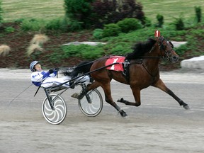 El Diablo Hall wins his first start of the season, a Gold Series division at Western Fair Raceway on May 27, for owners Dale Hunter of London, Rick Podolinsky of Alvinston, trainer Anthony Montini of Acton and Paul Giammichele of Burlington. The colt will be making a bid to win the Ontario Sire Stakes Grassroots race at Hiawatha Horse Park in Sarnia on Saturday evening. (HANDOUT/ SARNIA OBSERVER/ POSTMEDIA NETWORK)