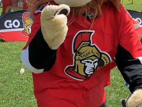 The Ottawa Senators Foundation stopped in Kingston on Friday including the NHL team's lion mascot, Spartacat.