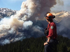 A Coastal Fire Centre crew leader views the Boulder Creek fire, about 250 hectares (618 acres) near Pemberton, British Columbia July 3, 2015. Picture taken July 3, 2015. REUTERS/BC Wildfire Service/Handout via Reuters