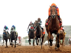 Beholder and jockey Gary Stevens win the Grade I Clement L. Hirsch Stakes earlier this month. The horse has only lost once in six starts the past two years. (AP)