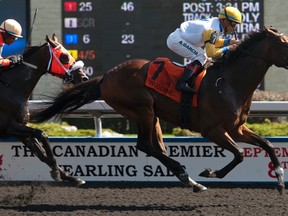 Jockey Alan Garcia rides Billy’s Star to a win in the Victoria Park Stakes for trainer Roger Attfield during the sixth race at Woodbine yesterday. Two races later, Tower of Texas just missed out on another first-place finish for Attfield. (MICHAEL BURNS PHOTO)