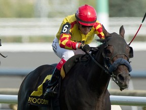 Jockey Luis Contreras rides Reporting Star to victory in the $200,000 Play The King Stakes at Woodbine Racetrack yesterday. It was the horse’s first stakes win. (MICHAEL BURNS PHOTO)