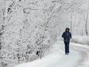 A jogger cruises past frost- and snow-laden trees next to Memorial Drive in Calgary, Alta., on Friday, Feb. 6, 2015. Lyle Aspinall/Postmedia Network