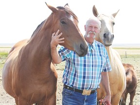 Paul Mitchell, alongside two of his rescue horses, Silver Ducat and Royal Poco Sun, at his farm north of town. Mitchell has seen an influx this summer of owners who are no longer able to care for their animals, due in part to the drought conditions, the rising price of hay, and the fluctuating oil and gas industry. Derek Wilkinson Vulcan Advocate