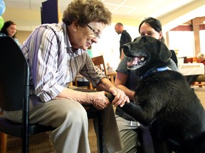 Vi Adolf feeds Cruiser, a black lab, during National Dog Day activities at the River Ridge Retirement Community on Wednesday, August 26, 2015 in St. Albert, AB.