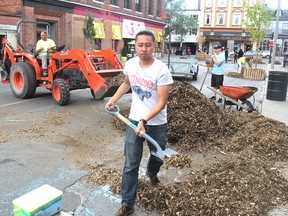 David Tran, director of a project to turn a stretch of Sydenham Street into a pop-up park, helps shovel mulch into a tree planter on Thursday. The street will remain a green space for two weeks. (Michael Lea/The Whig-Standard)
