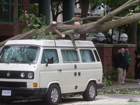 A large tree that was toppled during a windstorm rests on a van in the west end of downtown Vancouver, B.C., on Saturday August 29, 2015. A powerful windstorm caused chaos in southwestern British Columbia on Saturday, blocking roads with debris and fallen trees and knocking out power to 400,000 people according to BC Hydro. (THE CANADIAN PRESS/Darryl Dyck)