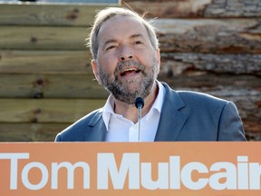 NDP leader Tom Mulcair speaks during a campaign stop in Dundas, Ont., on Aug. 25, 2015. (THE CANADIAN PRESS/Frank Gunn)