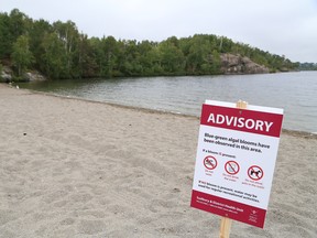 swimming advisory at LU beach