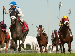 Jockey Eurico Da Silva guides Don't Leave Me, second from left, to victory in the $150,000 Ontario Colleen Stakes at Woodbine Racetrack on Aug. 22, 2015. (THE CANADIAN PRESS/Woodbine Racetrack/Michael Burns)