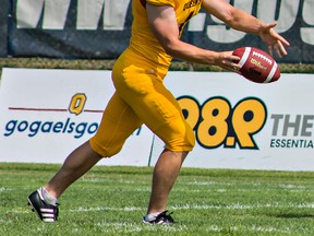 Queen Golden Gaels' Dillon Wamsley punts the ball during a 34-24 Ontario University Athletics football victory over the Carleton Ravens at Richardson Stadium on Aug. 30. (Kendra Pierroz/For The Whi-Standard)