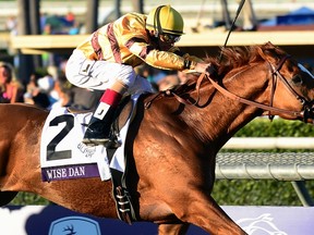 John Velazquez rides Wise Dan to victory in the Breeders’ Cup in 2012. Wise Dan has been retired with 23 wins over 31 starts and earnings of $7.5 million. (AFP)