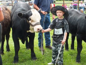 Tyson Wheeler-Clark is shown in this file photo taking part in the peewee beef show during last year's Petrolia and Enniskillen Fall Fair. This year's fair runs Friday to Sunday at the fairgrounds in Petrolia. 
File photo/ Postmedia Network