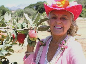 This photo courtesy of Bragg Live Food Products shows Patricia Bragg standing at an apple orchard.  Like many natural beauty, household and wellness fixes, apple cider vinegar has a long history and dedicated groupies who stand by its powers to help with everything from rust and flies to weight loss and warts. (Courtesy of Bragg Live Food Products via AP)