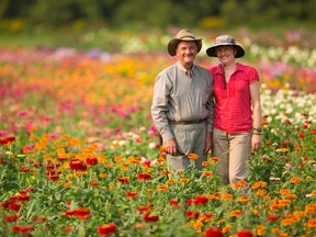 Paul Mailloux and Suzanna Glasgow grow flowers on Pack Road for their flower business called The Flower Lady, west of Colonel Talbot Road in London. (MIKE HENSEN, The London Free Press)