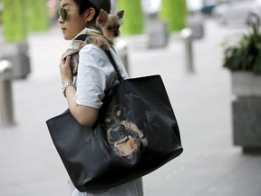 A woman carries her pet dog on her shoulder in front of a shopping mall in Beijing, China, in this June 1, 2015 file photo. (REUTERS/Kim Kyung-Hoon/Files)
