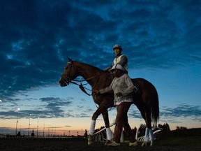Lea takes a stroll under exercise rider Neil Poznansky on the track before sunrise to begin training for Sunday’s $1-million Ricoh Woodbine Mile. (MICHAEL BURNS/PHOTO