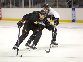 Jason Robertson, left, fights off a defender during a scrimmage at the Kingston Frontenacs training camp last week. (Billy Kimmerly)