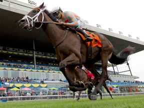 Jockey Joe Bravo guides Conquest Daddyo to victory Saturday in the $200,000 Summer Stakes at Woodbine Racetrack over the E.P. Taylor Turf Course. Bravo began the day expecting to have eight rides at Kentucky Downs in Franklin, Ky. (MICHAEL BURNS/Photo)