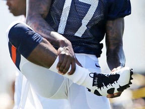 Chicago Bears wide receiver Alshon Jeffery smiles as he stretches during an NFL football training camp at Olivet Nazarene University, Friday, July 31, 2015, in Bourbonnais, Ill. (AP Photo/Nam Y. Huh)