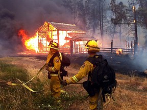 Firefighters approach a structure after a wildfire broke out near the town of Cobb in Lake County in Northern California, on Sept. 12, 2015. Authorities said multiple firefighters have suffered burn injuries while battling the fast-moving wildfire. (Kent Porter/The Press Democrat via AP)