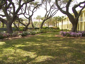 Beachview Club resort on Jekyll Island. (Postmedia Network files)