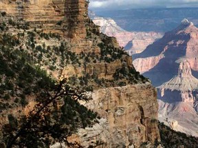 Grand Canyon. 

 (AP Photo/Rick Bowmer, File)