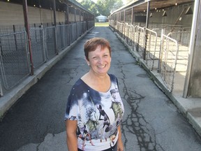 Gail Shook, the president of the Kingston and District Agricultural Society, stands by the still-empty pig enclosures at the fairgrounds in Kingston. on Wednesday, prior to the start of the annual fall fair. (Michael Lea/The Whig-Standard)