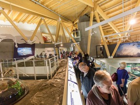 Thousands of visitors stream past the Pipestone Creek bonebed exhibit at the Philip J. Currie Dinosaur Museum.
Sean Trostem/Prairie Ranger Photography
