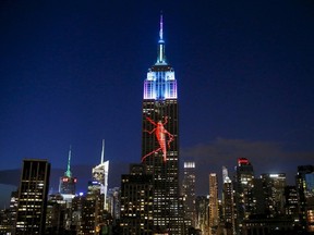 An image of an animal is seen projected onto the Empire State Building as part of an endangered species projection to raise awareness, in New York, United States in this August 1, 2015 file photo. REUTERS/Eduardo Munoz/Files