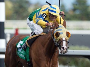 Jockey Eurico Da Silva guides Goodoldhockeygame to victory in the $125,000 Overskate Stakes at Woodbine Racetrack on Saturday. (MICHAEL BURNS/PHOTO)