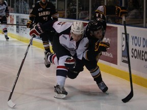 Windsor Spitfires defenceman Mikhail Sergachev and Sarnia Sting winger Hayden Hodgson are tangled up while chasing after a puck during an Ontario Hockey League preseason game in Sarnia Saturday night. The Sting won 8-4. (Terry Bridge, Sarnia Observer)