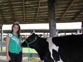 Maranda Klaver stands next to a cow on the second day of the Seaforth Fall Fair at the Agriplex in Seaforth. She was crowned the 2015 Seaforth Fall Fair Ambassador on September 17. (Shaun Gregory/Huron Expositor)