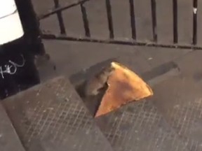 "Pizza Rat."

(YouTube/MattLittle)