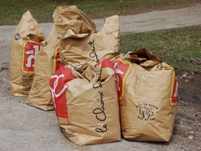 Yard waste collection. Postmedia Network file photo