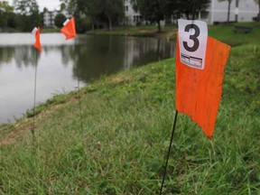 Orange evidence flags line the shore of a pond in the Audubon Lake neighborhood of Durham, N.C. on Tuesday, Sept. 22, 2015. Police say Alan Tysheen Eugene Lassiter attempted to drown his three young children, two of whom remain hospitalized. (AP Photo/Allen G. Breed)