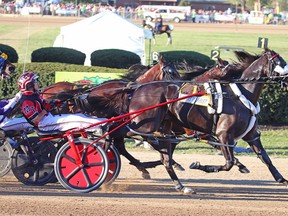 Montrel Teague drives Wiggle It Jiggleit, foreground, across the finish line to win the Little Brown Jug harness race at the Delaware County Fairgrounds in Delaware, Ohio, Thursday, Sept. 24, 2015. (AP Photo/Mark Hall)
