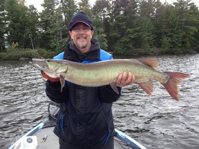 Bruce Heidman landed a 39-inch muskie during the Muskies Canada Sudbury chapter's annual outing on Lake Nipissing. Yvan Houle/For The Sudbury Star/Postmedia Network file photo