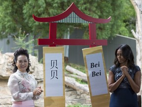 First Lady Michelle Obama and Madame Peng Liyuan, First Lady of the People's Republic of China, unveil the name of the baby panda which they chose, at the Smithsonian's National Zoo on September 25, 2015 in Washington, DC. AFP Photo/Molly Riley
