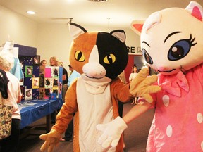 Charming mascots greeted fans attending the Cat Video Film Festival Saturday at the Sarnia library. Neil Bowen/Sarnia Observer/ Postmedia Network
