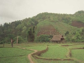 Water-logged fields are pictured in Chiang Mai, Thailand in this file photo. (Postmedia Network files)