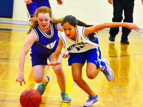 Avree Paulen (12), right, of the Mitchell District High School (MDHS) junior girls basketball team, races for the loose ball during action against visiting FE Madill (Wingham) last Sept. 23. GALEN SIMMONS/MITCHELL ADVOCATE