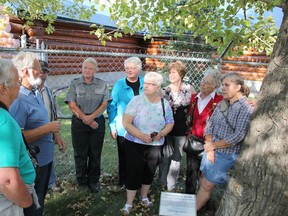 PCE cottonwood tree dedication_1