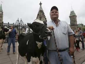 Dairy farmers stand with their cows during a protest against the Trans-Pacific Partnership (TPP) trade agreement in front of Parliament Hill in Ottawa, September 29, 2015. REUTERS/Chris Wattie